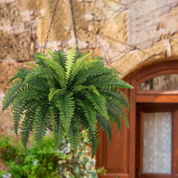 Primrue Artificial Boston Fern Hanging Basket 38 Leaves Fake Ferns in ...